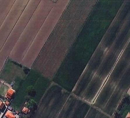 VENDESI TERRENO AGRICOLO