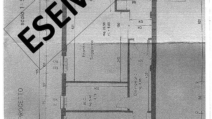 VENDESI APPARTAMENTO CON INGRESSO INDIPENDENTE